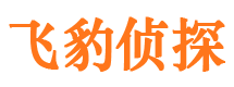 信宜私家调查公司